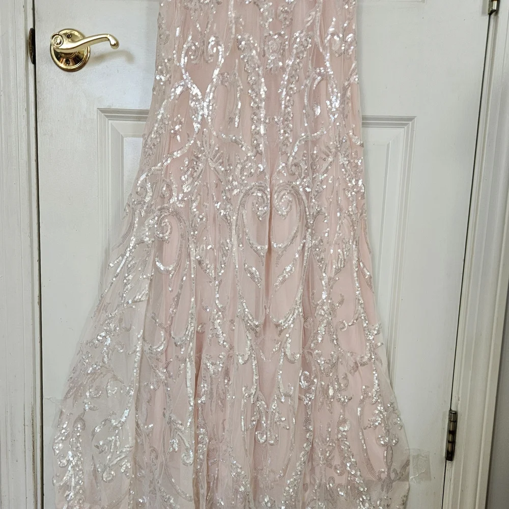 Windsor Blush Sequin Backless Dress - Picture 3 of 11